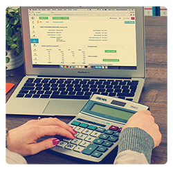finbiz-small